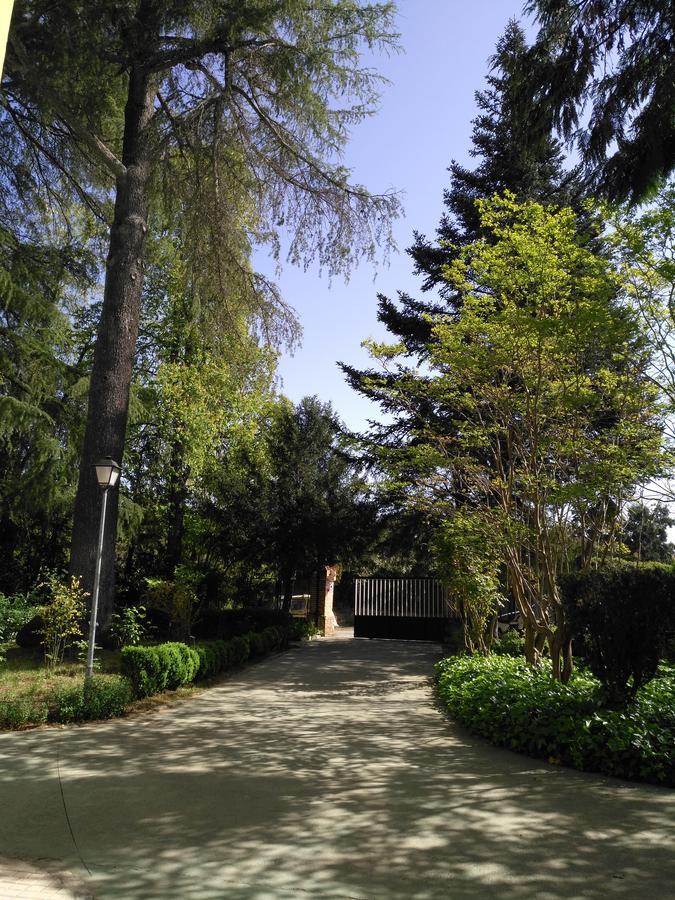 Hotel Rural Villa Onuba Фуэнтеэридос Экстерьер фото